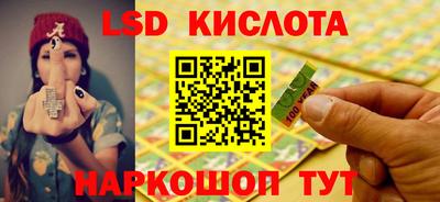 гидра Новозыбков