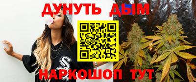 сатива Новокубанск