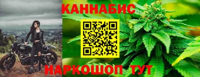 гидра Новозыбков