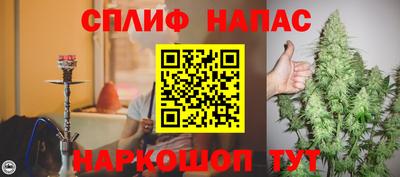 гидра Новозыбков