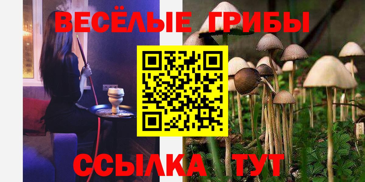 Псилоцибиновые грибы ЛСД Томск