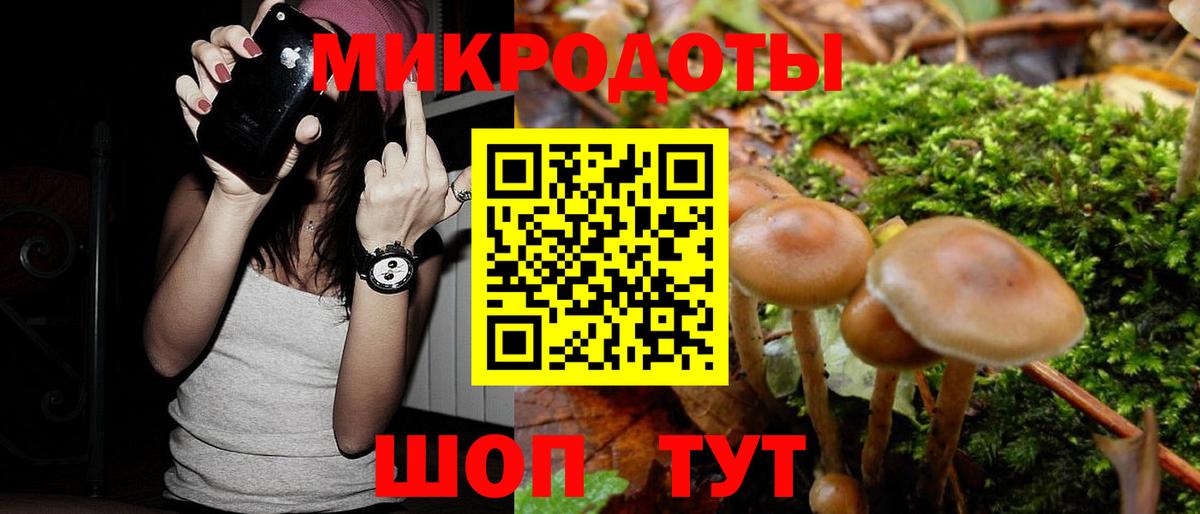 Псилоцибиновые грибы мицелий  Псилоцибиновые грибы ЛСД  Вход с VPN  Томск 